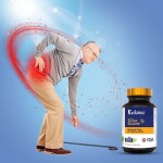 Joint Guard karkuma (90. tablet)