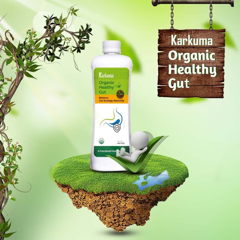 Organic Healthy Gut karkuma (400ml)