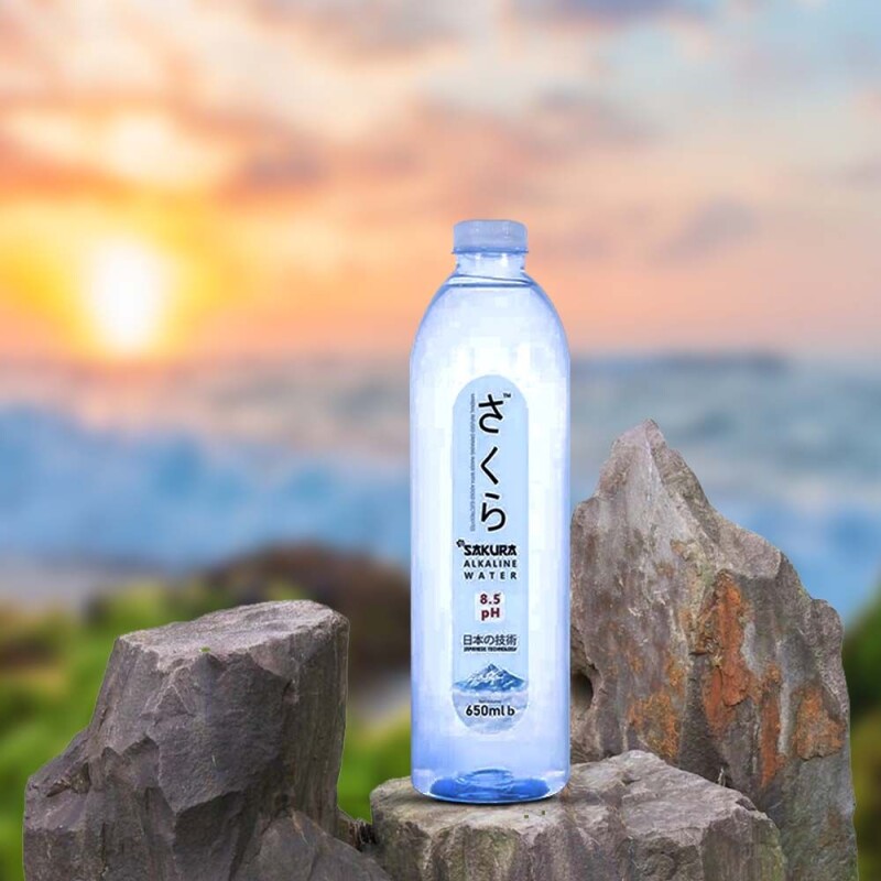 Alkain Water (650ml)