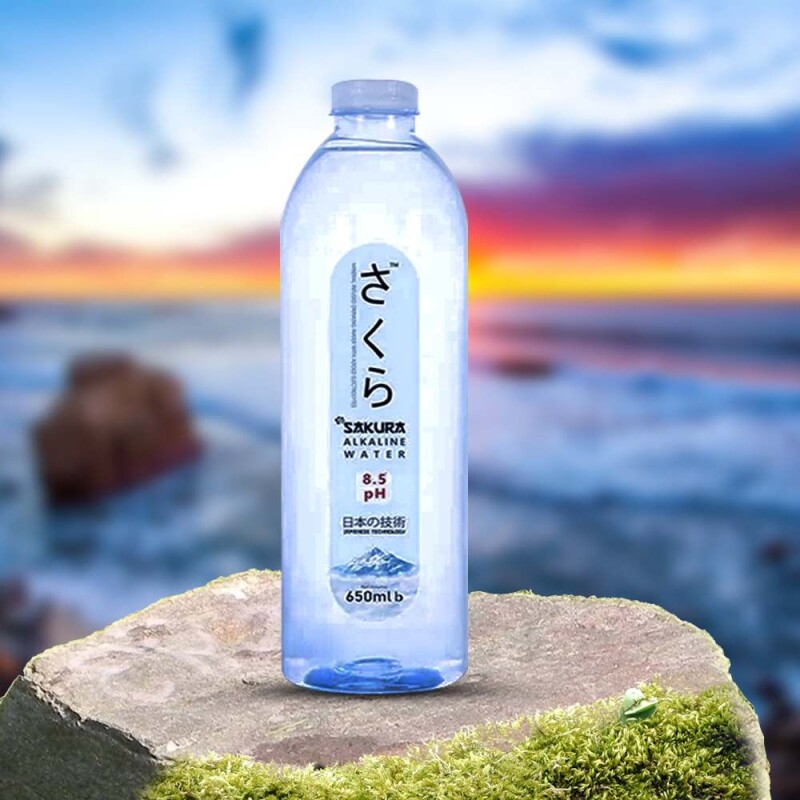 Alkain Water (650ml)