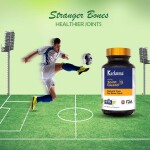 Joint Guard karkuma (90. tablet)