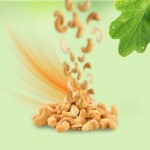 Cashew Nuts Jumbo size (500 gm)