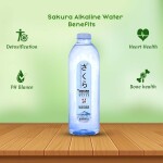 Alkain Water (650ml)