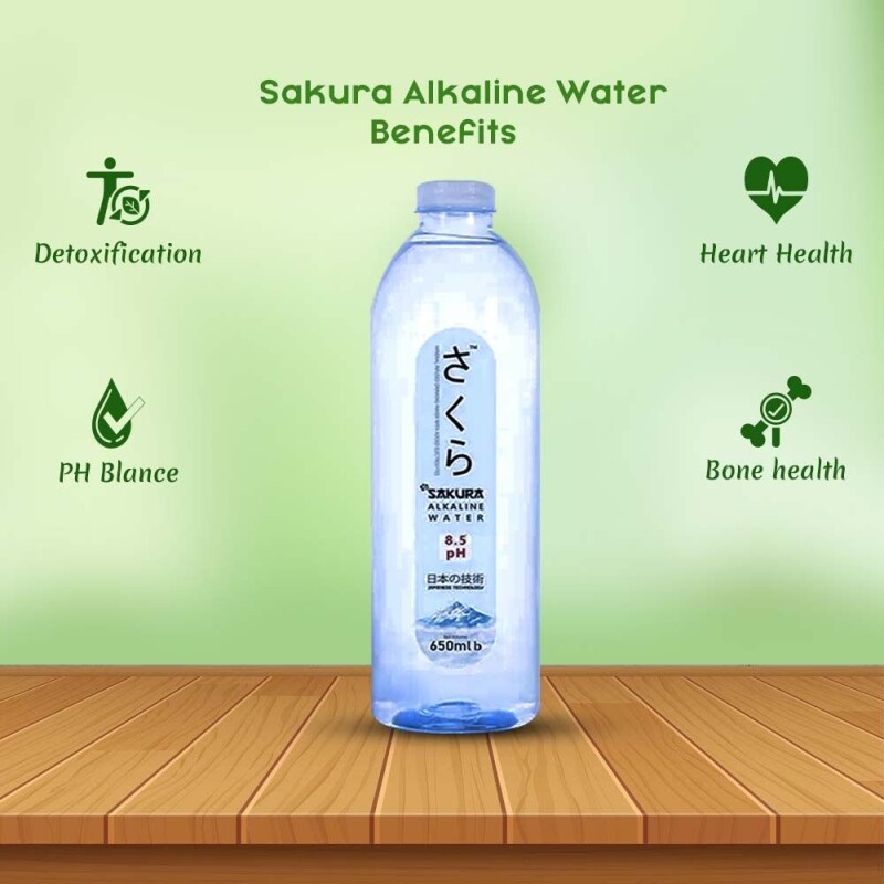 Alkain Water (650ml)